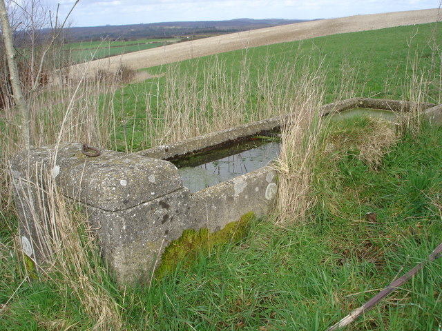 Water Trough - Witherington Down