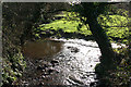 Colyton: stream near Bolshayne