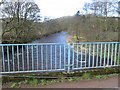 River Ayr at Haugh