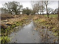 Newcourt Carrier looking south