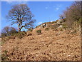 Buckland Hill near Bwlch