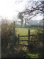 Stiles and Footpath near Crewe by Farndon