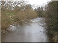 SE4153 : River Nidd at Walshford by Gordon Hatton