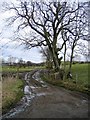 Track to Ty-cerrig