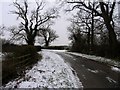 Towards Red Lodge Farm