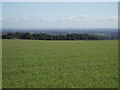 View from footpath across the site of Coles pits