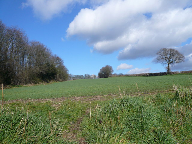 Geer Lane - Bridleway looking across farmland