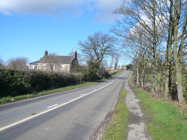Ridgeway Moor - View towards Sloade Lane