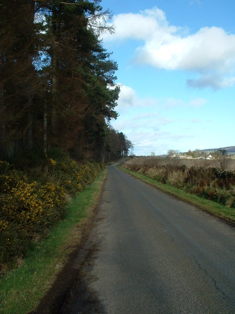 Rural Lane in spring