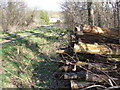 Logstack, Straits Inclosure