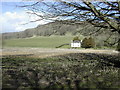 Up Cerne looking towards High Cank