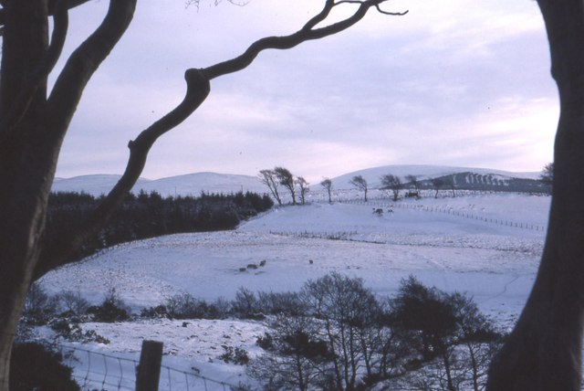 Snowscene near Low Ballochdowan