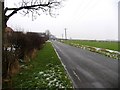 TL1677 : Road past Brickyard Farm by Andrew Tatlow