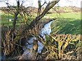 Stream near the A5104