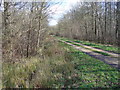 Footpath, Straits Inclosure