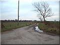 NY4671 : The Road to Whiteclose Farm by Alexander P Kapp