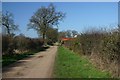 Mill Lane, Garboldisham Common