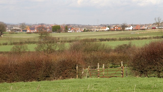 View Over Fields