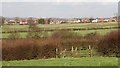 View Over Fields