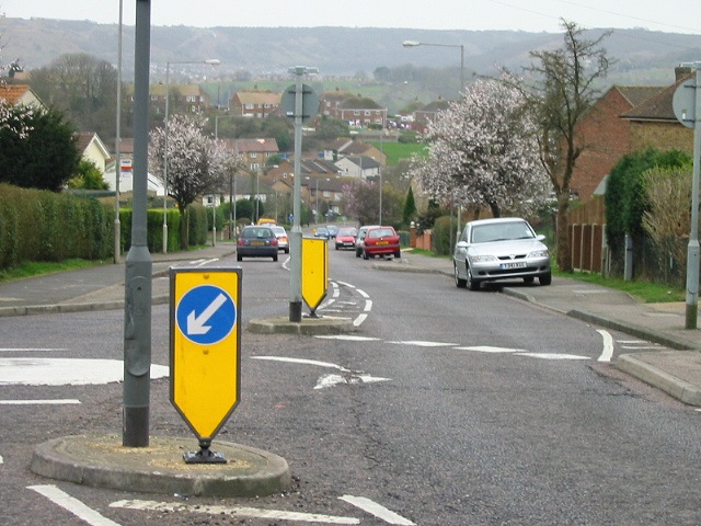 Looking S down Melbourne Avenue, Buckland Valley