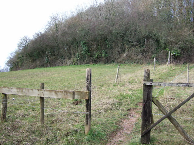 Path into Orchard Wood
