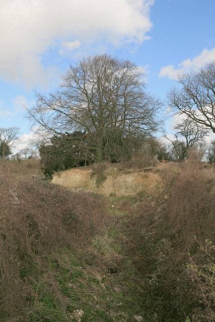 Disused chalk pit on Becket's Down