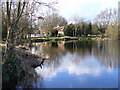 Looking Across Kingsley Pond