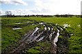 Muddy field in Worthenbury