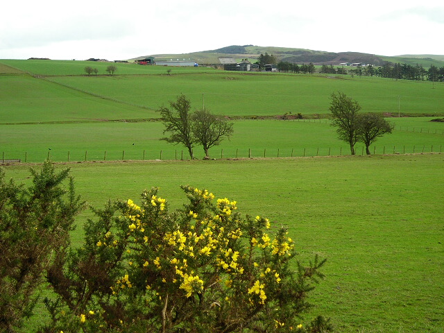 View Across Fields To Branetrigg