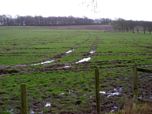 Very Boggy Field