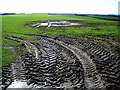 Muddy Field Near West Roucan