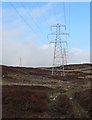 NN8441 : Electricity pylons, above Glen Freuchie by Rob Burke