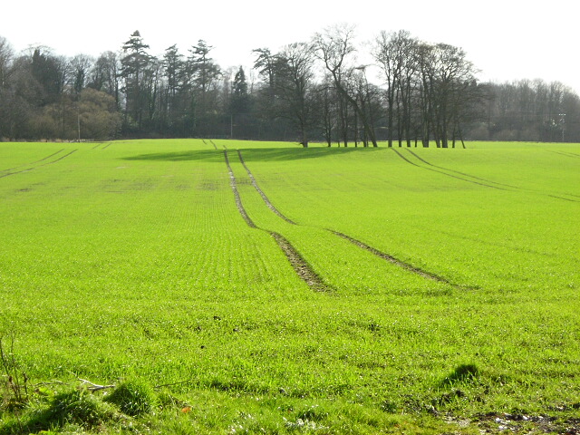 Field Near Kirkton
