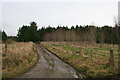 The lane to Ryefield