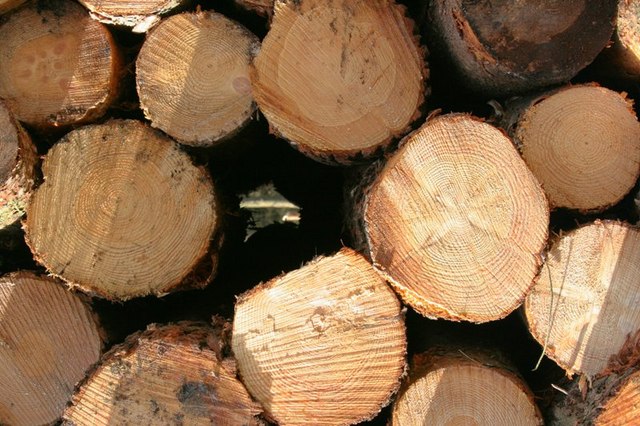 Log Pile, Over Silton Forest