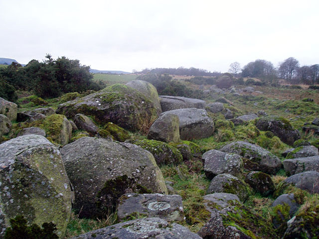 Glacial erratics in the plain of Kinross