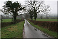 Watery Lane near Beamhurst