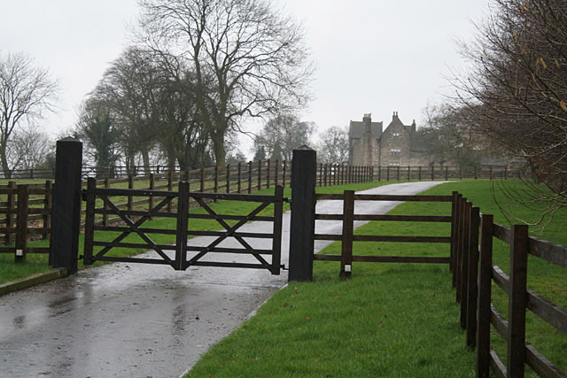 Driveway to old manor house near Hollington
