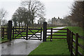 Driveway to old manor house near Hollington