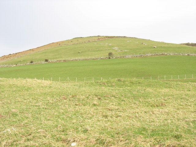 The north-western slope of Y Foel