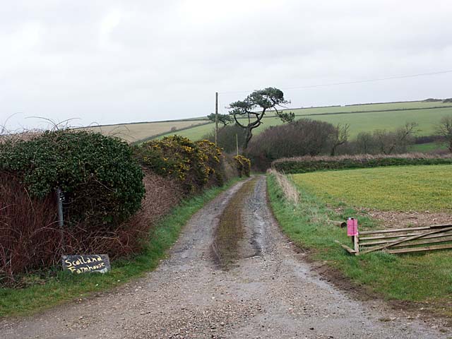 Lane leading to Scotland Farm.