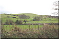 Grazing land at Tyddyn-madyn