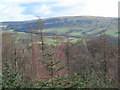 View From Kilgrammie Wood