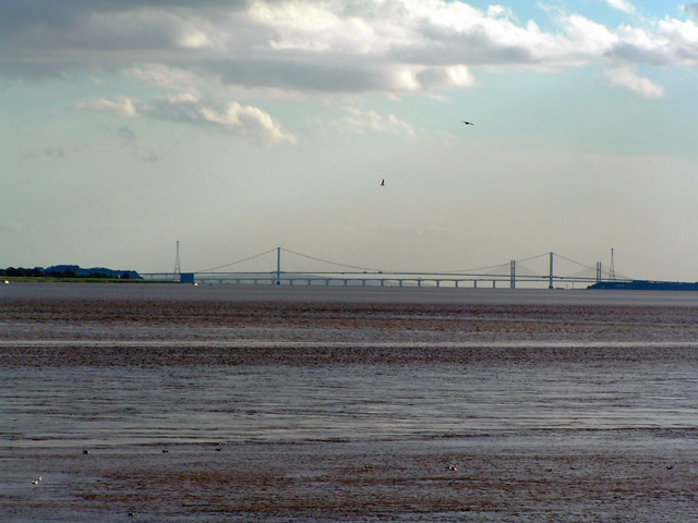 Two Severn Bridges and 2 Seagulls