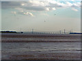 SO6401 : Two Severn Bridges and 2 Seagulls by Forester