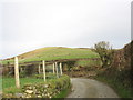 View back to the Foel