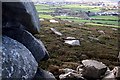 The Western Shoulder of Carn Brea