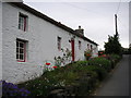 Bwthyn Siop Fach Cottage