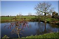 Pond near Garboldisham