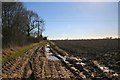 Muddy track near North Lopham